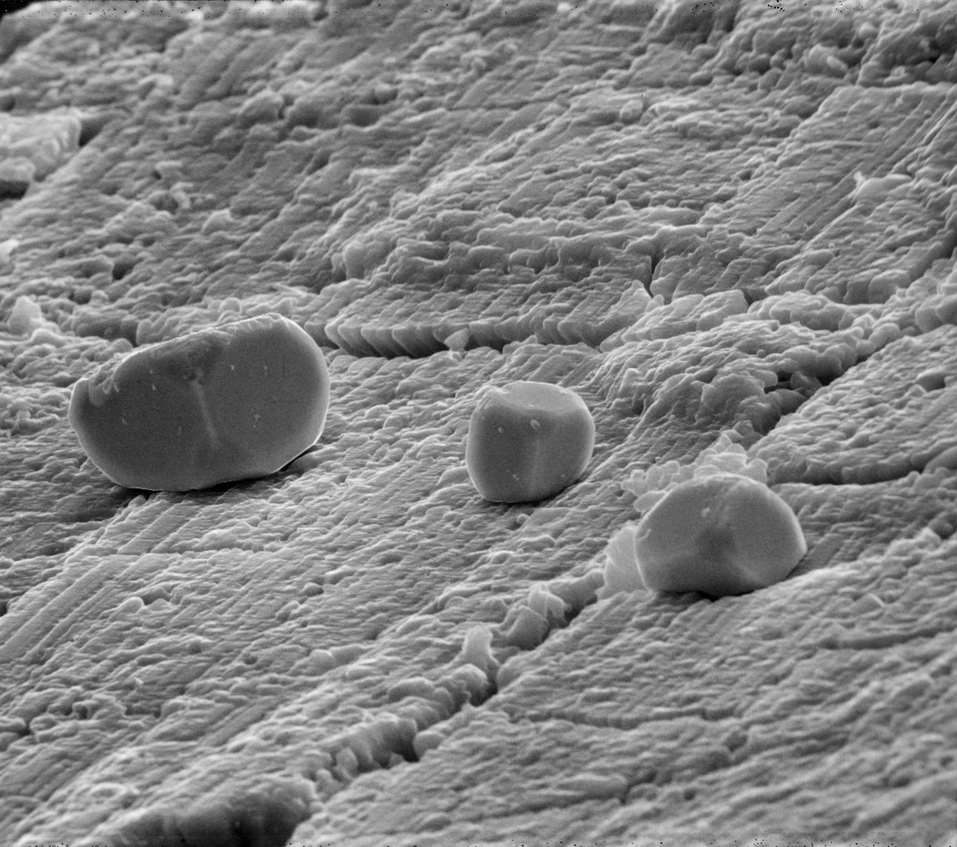 Microfotografía electrónica de una muestra geológica con estructuras redondeadas